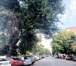 В Астрахани на три дня ограничат автодвижение по Красной Набережной