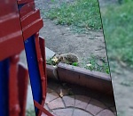 Фото дня: экологическая поправка в Конституцию заработала моментально