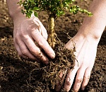 Решено, какие четыре парка в Астрахани благоустроят в этом году