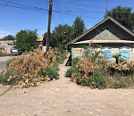 Астраханцев пугают горы веток и шатающиеся опоры ЛЭП у дома