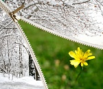 Погода не разочарует астраханцев в первый день весны