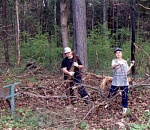 Астраханцам рассказали, как правильно собирать валежник
