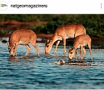 Астраханский фотограф неделю будет вести аккаунт National Geographic Russia в Инстаграме