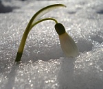 Астраханская погода в феврале