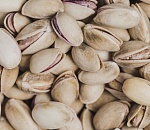 Эксперимент по выращиванию фисташки под Астраханью приостановили после гибели урожая