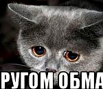 В Астрахани адвокат и его подельник подозреваются в многомиллионном мошенничестве