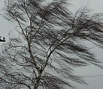 У энергетиков введен режим повышенной готовности из-за надвигающегося шторма в Астрахани