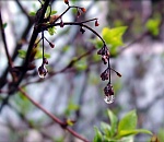 Завтра астраханцам обещают дождь