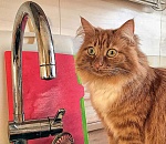 Центр Астрахани остался без горячей воды из-за аварии