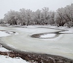 Астраханцев приглашают на фотовыставку заповедной природы