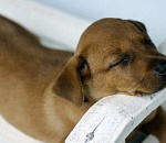 Астраханцев в июне ждет пролонгированная рабочая неделя