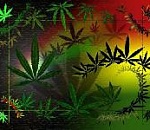 Гостеприимный сельчанин организовал дома наркопритон для земляков