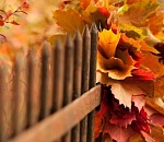 В четверг в Астрахани станет немного теплее