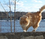 Сегодня в Астрахани будет тепло, а вот завтра похолодает