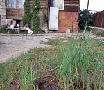 Общая труба топит частный двор. Астраханцу предлагают ремонтировать её самостоятельно