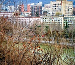 И снова в Астраханской области установится не зимний день  - с дождем и без миллиграмма снега