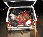 Двое астраханцев украли у фермера лошадь и освежевали ее