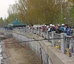 Фестивалю «Вобла» - 25 лет. Что об этом думают «звезды володарского разлива»?