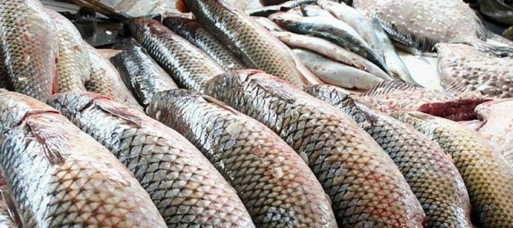 80 тонн опасной рыбы не попали на столы астраханцев