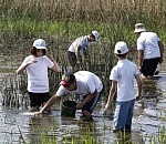 114 миллионов мальков спасли из отшнурованных водоемов в Астраханской области