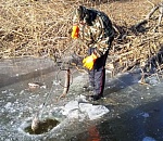 Астраханские рыбаки за десяток сазанов и карасей могут заплатить до миллиона рублей