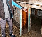 Под Астраханью незадачливый похититель птицы «заработал» два уголовных дела на одном и том же курятнике