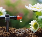 "Поликомплекс" построит в Астраханской области производство за 415 млн рублей