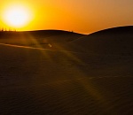 Записки астраханского натуралиста. Кто живет в пустыне?