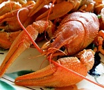 Астраханские полицейские изъяли у браконьеров из Волгограда 200 раков