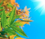 Завтра в Астрахани еще тепло