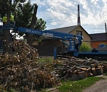 В администрации Астрахани рассказали, куда деваются ветки после опиловки деревьев