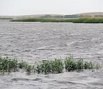 Астраханцев ждет самый полноводный за последние 40 лет паводок  