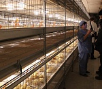 Аукцион по продаже 49% акций "Астраханского продукта" признан несостоявшимся