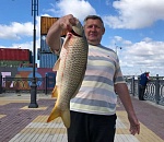 В центре Астрахани на набережной Волги ловят крупных сазанов