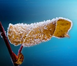 В Астраханской области ожидаются сильные морозы