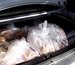 Остановленная на трассе астраханская пара заявила, что 177 кг рыбы в ее машине просто нашлись у моста