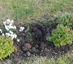 В Астрахани вновь орудуют вандалы