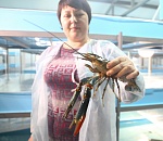 Первый в России центр по воспроизводству креветки и рака создадут в Астраханской области