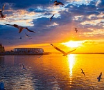 Эксперты обнародовали проект спасения Волго-Ахтубинской поймы