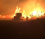 Предполагаемых поджигателей задержали на границе с Астраханским заповедником