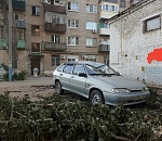 В Астрахани очередное дерево упало на автомобиль