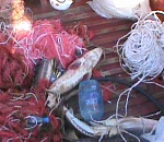 Под Астраханью бойцы СОБР задержали браконьеров: пришлось применить оружие