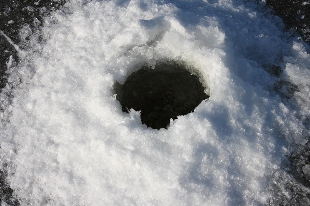 В Астраханской области пробурят 25 тысяч лунок, чтобы рыба не задохнулась