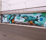 Фото дня: кстати, о птичках 