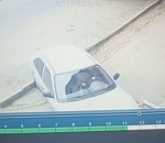 Машина с автоледи за рулём протаранила астраханский супермаркет