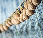 У астраханцев изъяли километр рыболовных сетей