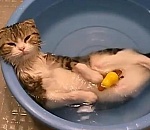 Завтра в Астрахани будет очень жарко