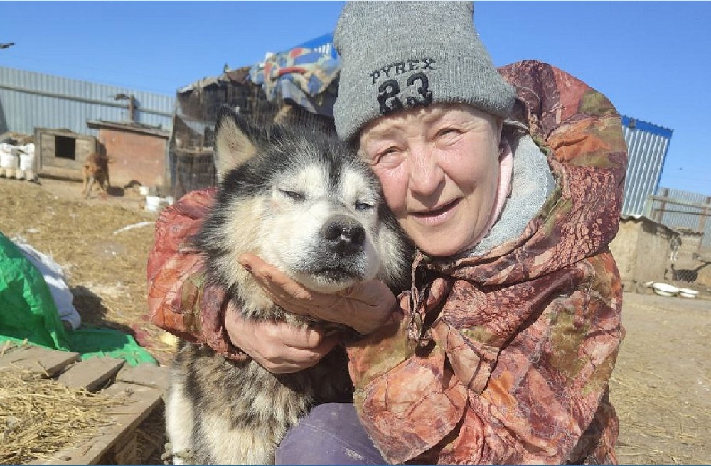 Беспомощного старого хаски выкинули из машины в астраханском селе