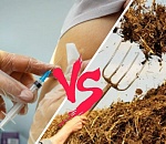 Не дельный обзор. В Астрахани не стоит выбор между прививкой и навозом