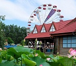 Астраханцы создали петицию за сохранение парка «Планета»